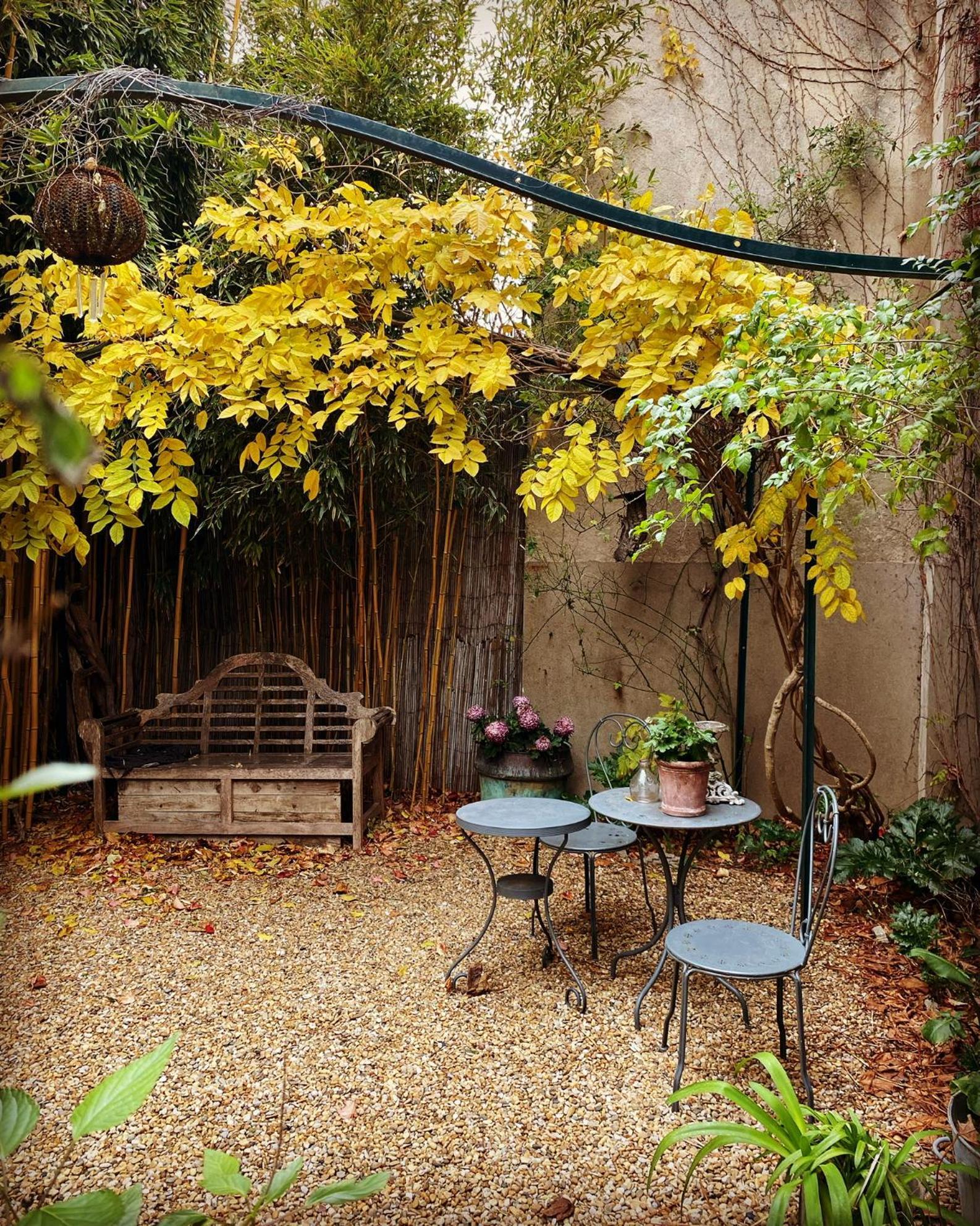 Le Logis Blanc Bed&Breakfast Coursan Εξωτερικό φωτογραφία