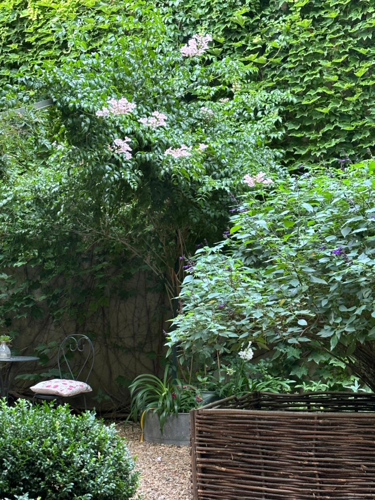 Le Logis Blanc Bed&Breakfast Coursan Εξωτερικό φωτογραφία