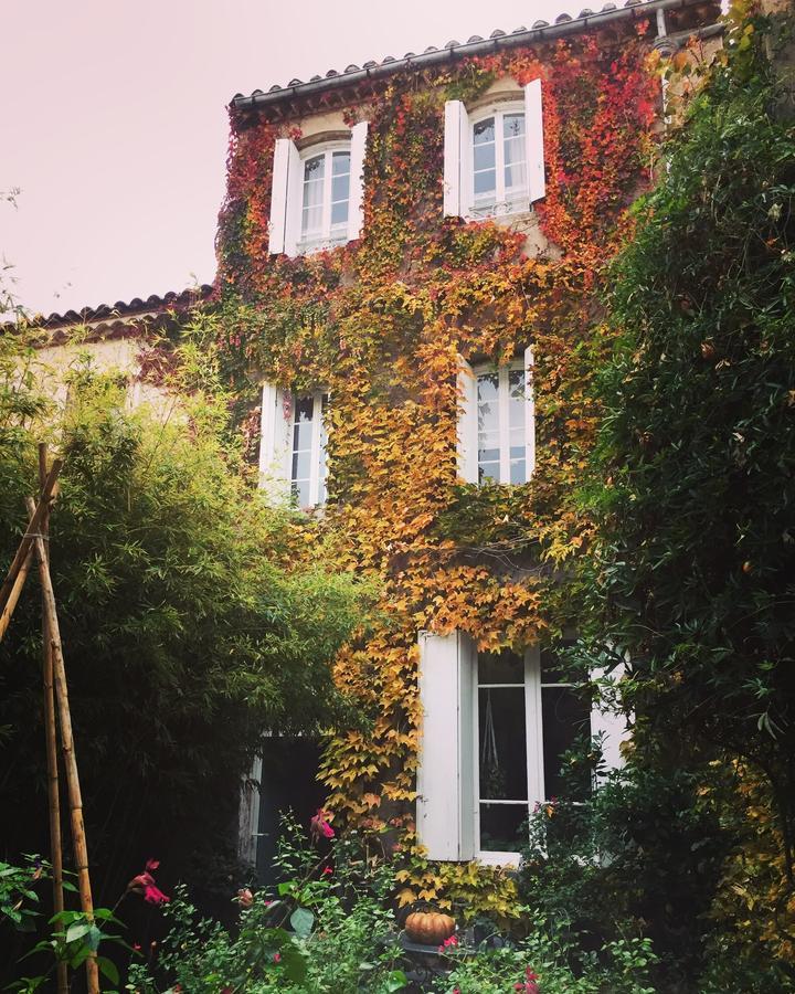 Le Logis Blanc Bed&Breakfast Coursan Εξωτερικό φωτογραφία