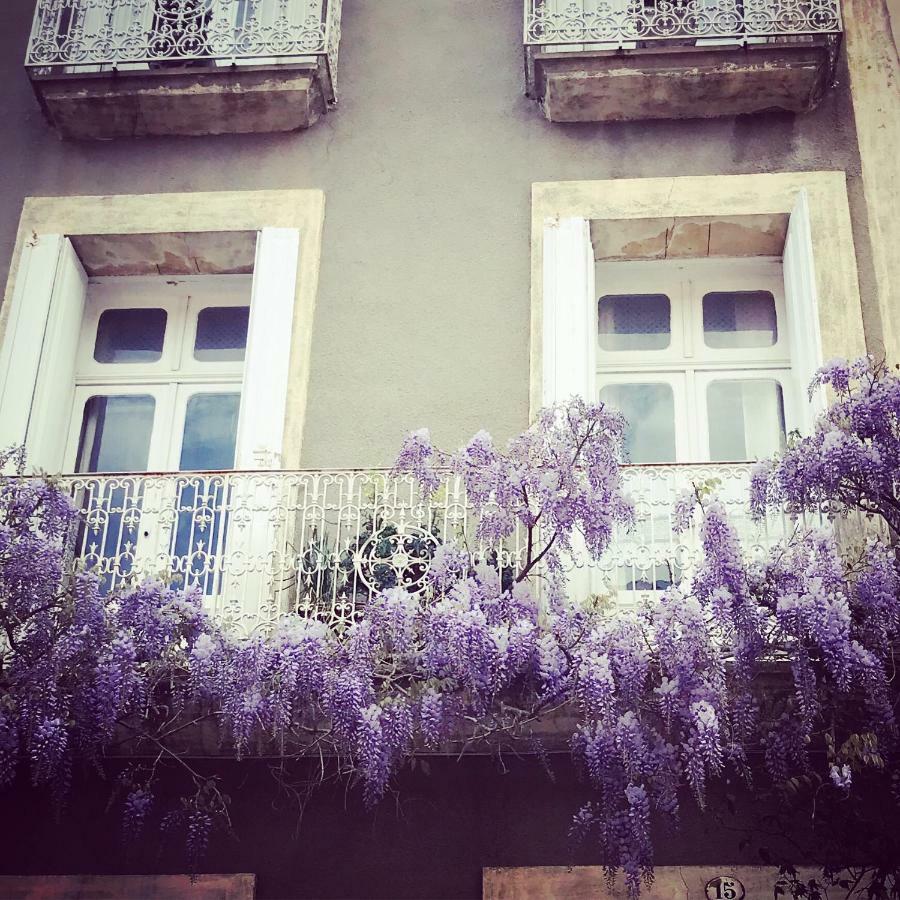 Le Logis Blanc Bed&Breakfast Coursan Εξωτερικό φωτογραφία