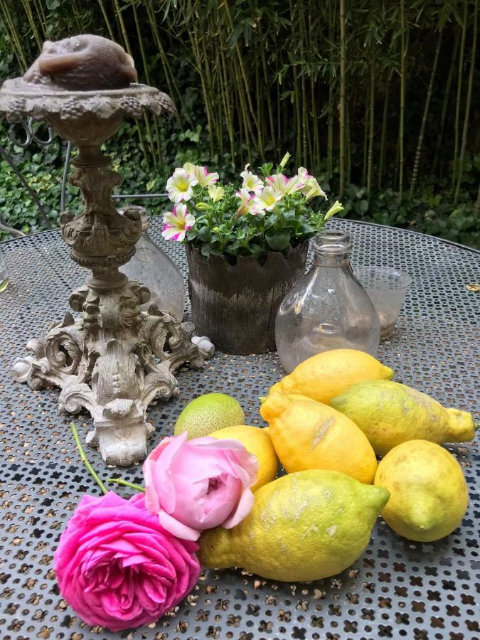 Le Logis Blanc Bed&Breakfast Coursan Εξωτερικό φωτογραφία